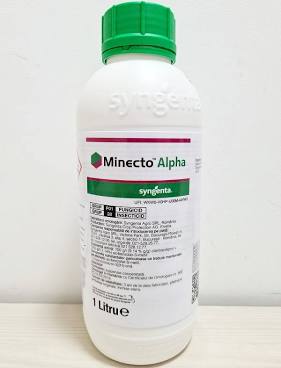 Insecticid Minecto Alpha