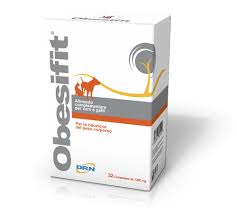 OBESIFIT, DRN, 32 tablete